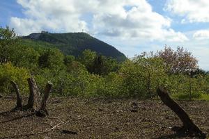 Terreno a Maratea PZ