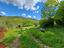 Immagine 25