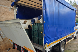 IVECO 49-12 Centina e Sponda Idraulica