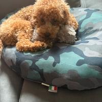 Barboncina per accoppiamento