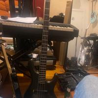 Basso elettrico ibanez