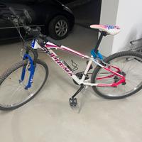 Bici montainbike