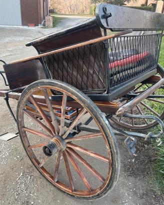 calesse da passeggio per cavalli 