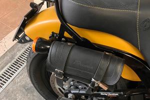 Portapacchi Harley Davidson removibile