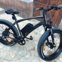 bicicletta elettrica
