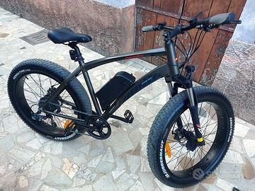 bicicletta elettrica