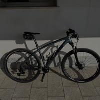 Mountain BiKe MASSI CARBON