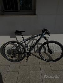 Mountain BiKe MASSI CARBON
