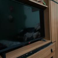 Tv  antteq 32 pollici