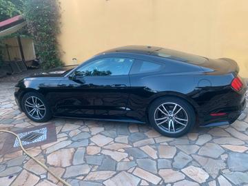 mustang