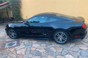 mustang