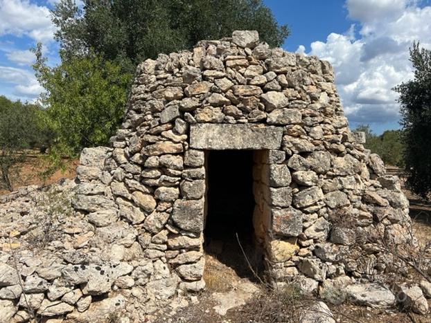 Terreno agricolo con trullo-GR03