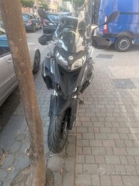 Benelli trk 502