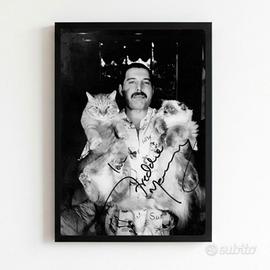 quadro 