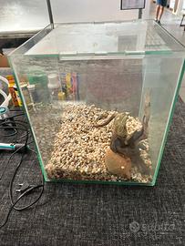 Acquario completo di accessori