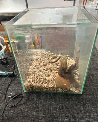 Acquario completo di accessori