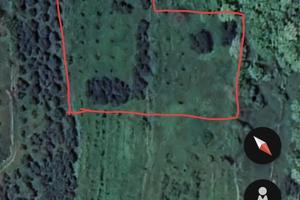 Terreno agricolo con oliveto a Lumignano