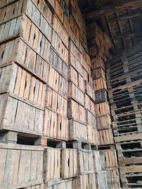 cassette di legno