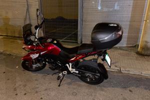 Benelli TRK 251 - 2019