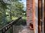 Immagine 14