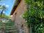 Immagine 14