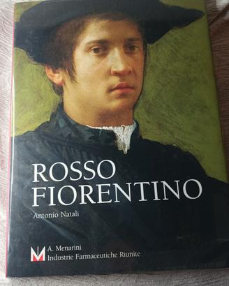 libro d'arte ,Rosso Fiorentino 