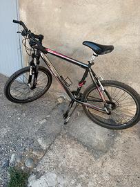 Bicicletta canellini