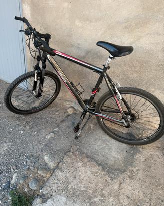 Bicicletta canellini