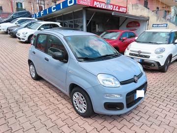 Fiat Panda 1.2 BENZ. FULL SOLO 51.000 KM CERT 2018