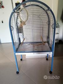 Voliera pappagalli IMAC