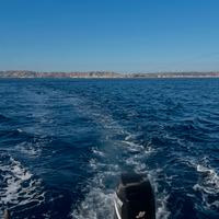 Motore MERCURY E 40/60 EFI con 1.051 ore