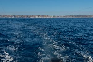 Motore MERCURY E 40/60 EFI con 1.051 ore