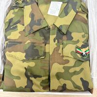 Vestito Di Carnevale