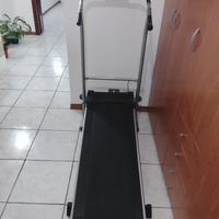 Tapirulant magnetico