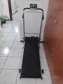 Tapirulant magnetico