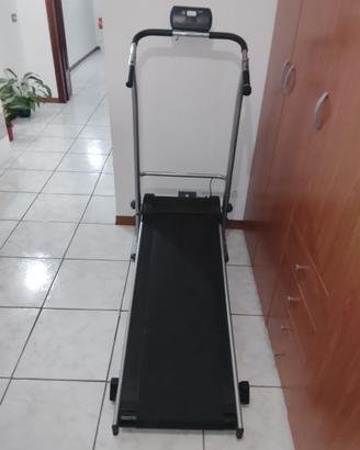 Tapirulant magnetico