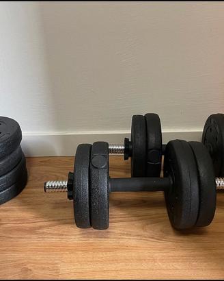 Manubri per palestra a casa 30kg