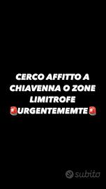 Cerco affito chiavenna o zone limitrofe