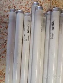 lampade a neon osram