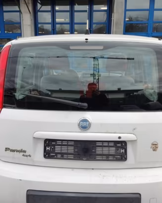 Portellone nudo FIAT PANDA del 2006