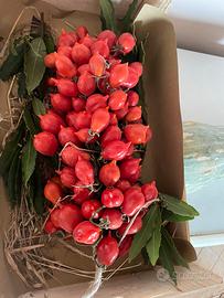 Pomodori del piennolo