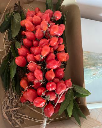 Pomodori del piennolo