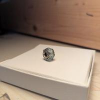 Charm Pandora