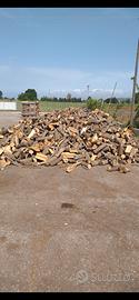 legna di quercia secca disponibile su benevento 
