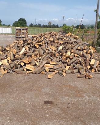 legna di quercia secca disponibile su benevento 