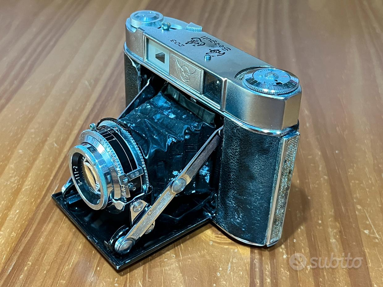 Seagull Fotografia usata