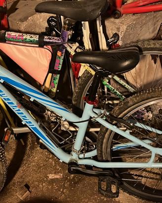 Bicicletta specialized ragazzo