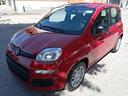 fiat-panda-1-0-firefly-hybrid-km-0-sensori-post