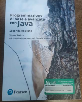 Libro Programmazione Java