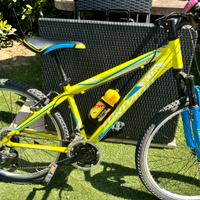 Bici mountainbike mtb bambino torpado